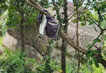 Vụ đi hái nấm phát hiện bộ 🦴 khô nên núi đá: Người thân đến nhận, công an gửi mẫu đi giám định ADN