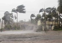 Xuất hiện siêu bão mới ngay sau bão số 13, mang tên ‘Phượng Hoàng’, sức tàn phá mạnh khủng khiếp?