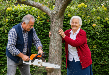 Regresé de unas vacaciones de una semana esperando encontrar todo tal como lo había dejado. Pero en cuanto entré en el camino de entrada, el pecho se me oprimió. El manzano de cincuenta años, el que mis abuelos habían plantado con sus propias manos, había desaparecido. En su lugar solo quedaba un tocón irregular. La furia me llevó a la casa de Faye, donde golpeé su puerta hasta que apareció con una copa de vino en la mano. ‘¿Qué le hiciste a mi árbol?’ grité. Ella dio un sorbo lento, imperturbable. ‘Lo mandamos retirar. De nada.’ No podía imaginar lo costosa que sería esa pequeña decisión