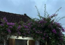 Tôi ch/oá/ng vá/ng khi phát hiện mỗi tháng chồng âm thầm gửi 15 triệu về quê nuôi chị chồng, chồng tôi tốt với chị một cách bất thường khiến tôi sinh ngh/i, hôm đó tôi l/én theo anh về quê