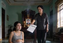 Chồng đột ngột qua đời khi tôi mang thai 3 tháng, bị mẹ chồng nghi oan và ép bỏ con — 10 năm sau tôi trở về, bà chết lặng khi nhìn thấy đứa bé…