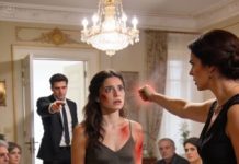 En plena cena familiar, choqué accidentalmente con mi cuñada. Antes de poder disculparme, me abofeteó frente a todos y gritó: “¡Mira lo que hiciste a mi vestido! ¿Quién te invitó? ¡Lárgate!”