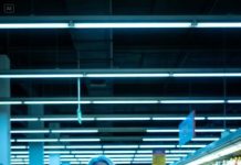 Era tarde, el supermercado casi vacío, y yo solo quería pan y leche. Cerca de la entrada, una niña delgada con ropa hecha jirones murmuró: “Por favor… tengo tanta hambre.”