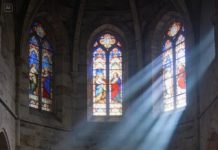 “¿Casarte con un fontanero? Qué vergüenza”, escupieron mis padres, como si mi amor fuera una mancha imposible de limpiar. Mi hermana se rió: “¿Quién iría a esa boda?”. Y cumplieron su amenaza: me dieron la espalda.