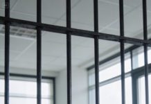 Mis suegros organizaron un campamento familiar y mi cuñada me soltó, sin vergüenza: “No traigas a tus hijos. Son sucios y maleducados.” Le respondí con calma… y ella hizo lo impensable: encerró a mis niños en una jaula para perros, riéndose como si fuera un chiste.